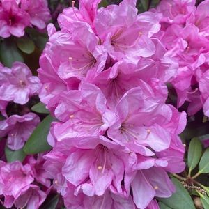 Meet your Posher, Karina